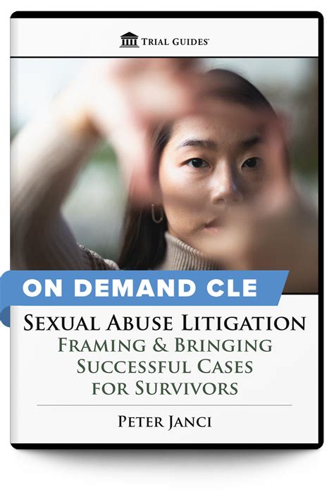 Sexual Abuse Litigation Framing And Bringing Successful Cases For Survi