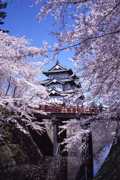 Whens The Best Time To Visit Japan Advice From The Experts Giappone