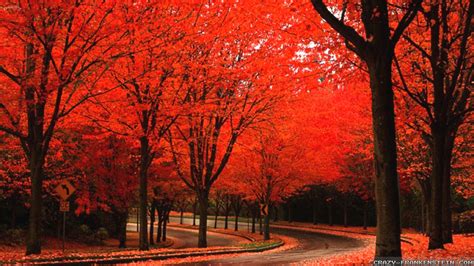 Free Download 35 Pretty Autumn Wallpapers Download At Wallpaperbro