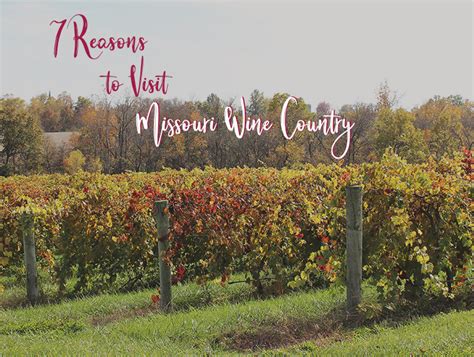 7 Reasons To Visit Missouri Wine Country Mo Wine