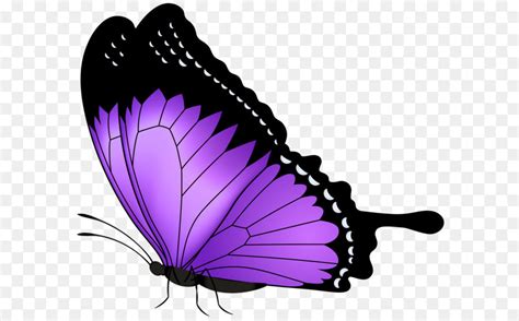 Butterfly Purple Clip Art Purple Butterfly Transparent Png Clip Art