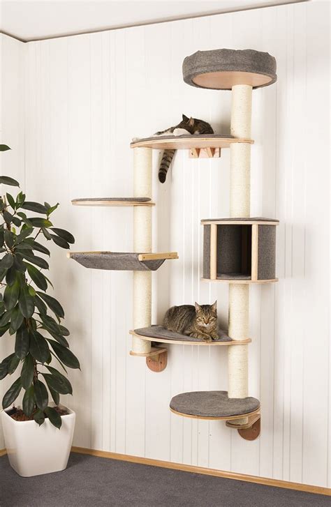 Please take a look at some of our reviews, tips, and cat climbing articles! Wall-Mounted Cat Tree Dolomit XL Tofana | LOWEST PRICES ...