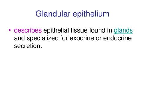 Ppt Glandular Epithelium Powerpoint Presentation Free Download Id