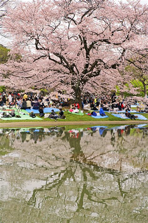 20 Best Free Things To Do In Tokyo Lonely Planet