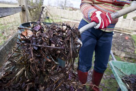 Why You Should Compost In Trenches