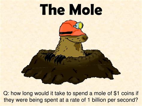 Ppt The Mole Powerpoint Presentation Free Download Id5738930