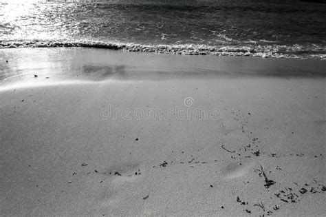 Black And White Beach Stock Photo Image Of Foam Ocean 89280028