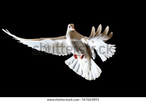 Symbol Freedom White Doves Flying On Stock Photo Edit Now 767663893