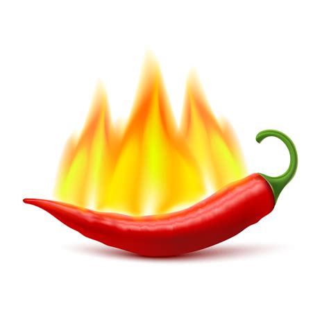 Flaming Hot Chili Pepper Pod Image 477751 Vector Art At Vecteezy
