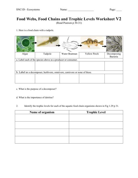 Lettuce greenfly ladybird thrush cat. Food Webs Food Chains And Trophic Levels Worksheet V2 — db ...