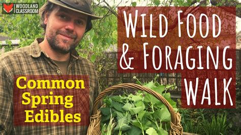Wild Food And Foraging Walk 13 Common Spring Edibles Youtube