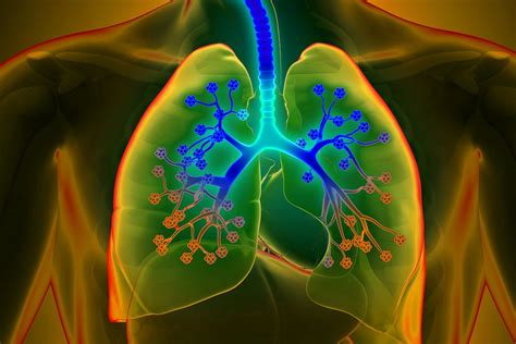 Cystic Fibrosis Discovery Of A Key Molecule For Improving Treatments