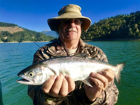 Trinity And Whiskeytown Lakes Are Producing Limits Of Big Kokanee