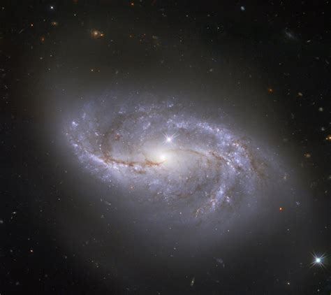 Ngc 1398 es una galaxia espiral barrada. One amongst millions | Looking deep into the Universe, the ...