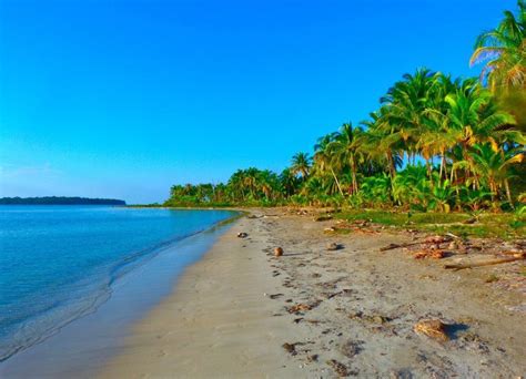 The Best Beaches In Colón Island Panama