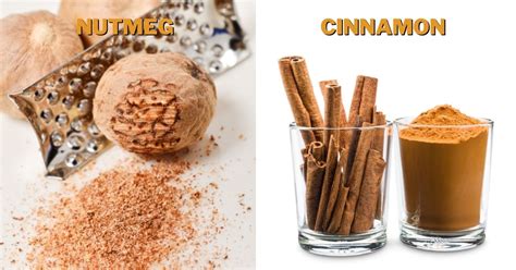 Nutmeg Vs Cinnamon Differences And Uses