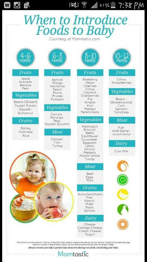 You can now introduce pasta, meats, yogurt and cheese into your baby's diet. Baby Food stages | Baby food recipes, Homemade baby, Baby ...