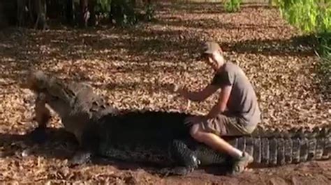 Tourist Hops On Back Of Deadly Saltwater Crocodile In Australia Youtube