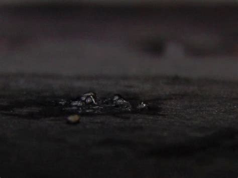 Mysterious Sticky Black Rain Falls In Michigan Mysterious Universe