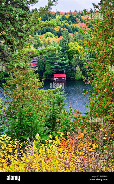 Autumn Fall Season Lake Cottage Trees Color October Hi Res Stock