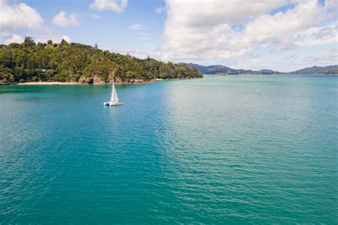 Barefoot Sailing Adventures Bay Of Islands Gallery 13 Must Do New Zealand