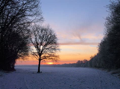 Wallpaper Sky Winter Snow Nature Tree Freezing Sunrise Dawn