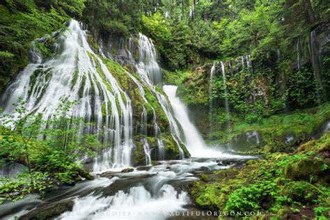 Panther Creek Falls Washington Oregon Photography