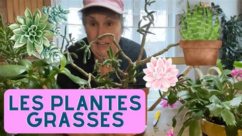 Comment Prendre Soin De Ses Plantes Grasses Capsule Horticole Youtube