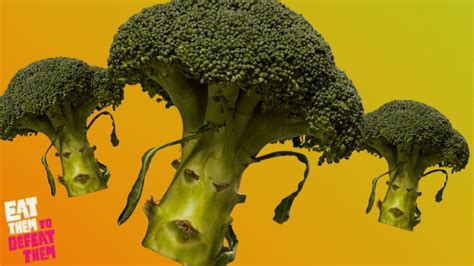 Broccoli Jokes Funny Broccoli Jokes On
