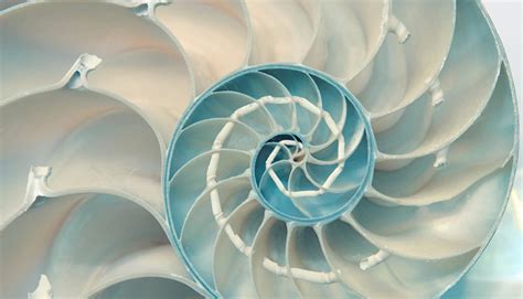 Nature design sigla un nuovo stile che contempla elementi dâ€™arredo caratterizzati da un concept ispirato allâ€™essenza della materia prima. How Nature Can Inspire the Best Digital Design