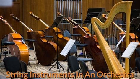 String Instruments In An Orchestra Musicalhowcom