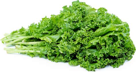 Mustard Greens Information Recipes And Facts