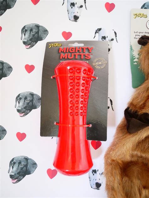 Perfect gift for the dog lover & cosy for the dog too! Dog birthday Gift guide - MissLJBeauty
