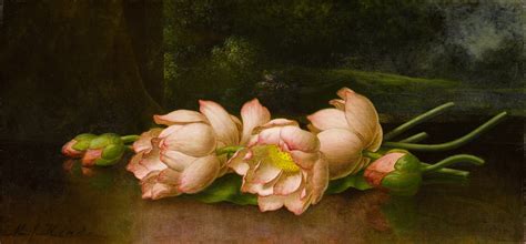 Free Download Filelotus Flowers A Landscape Painting In The Background