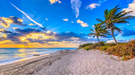 Discover The Palm Beaches Travel Weekly