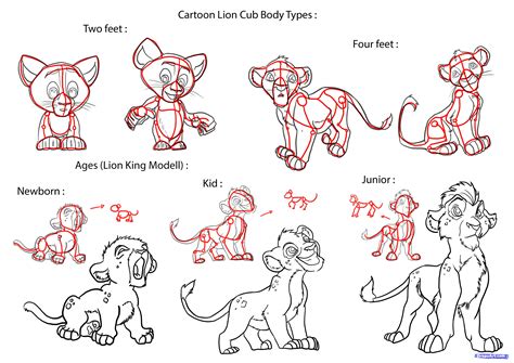 How To Draw A Lion Cub