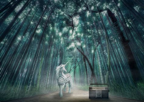 35 Mystical Forest Wallpaper Wallpapersafari