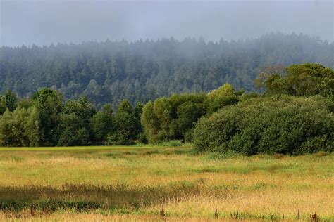 Nisqually River Delta Photograph By Joseph Siebert Fine Art America