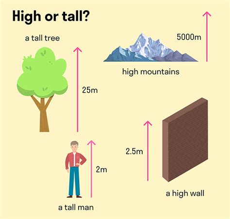 В чем разница между tall и high английский язык