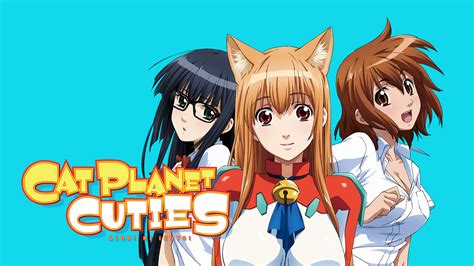 Fondos De Pantalla Anime Chicas Anime Asobi Ni Iku Yo Eris Asobi Ni Iku Yo Nekomimi