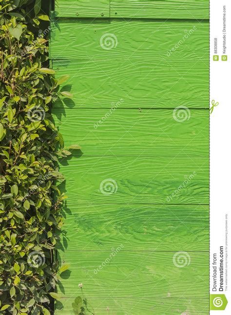 Green Wood And Green Leaf Texture Stock Photo Image Of