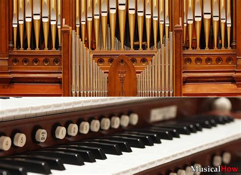 Different Types Of Organ Pipes Musicalhowcom
