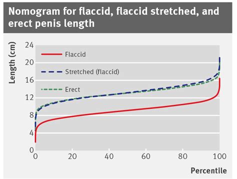Average Length Of A Flaccid And Erect Penis Is Published To Help