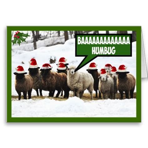 Funny Bah Humbug Holiday Card Uk Bah Humbug Holiday