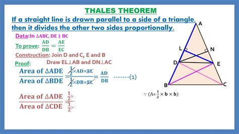 Thales Theorem Sslc Mathematics English Medium Class 10 Youtube