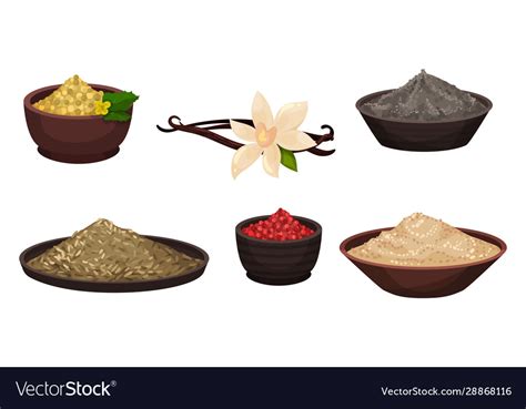 Heaps Different Spices And Condiments Poured Vector Image