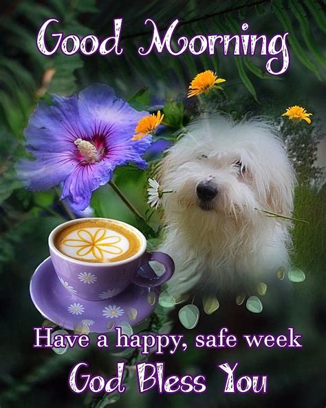Good Morning Everyone Happy Monday I Pray That You Have A Safe Happy