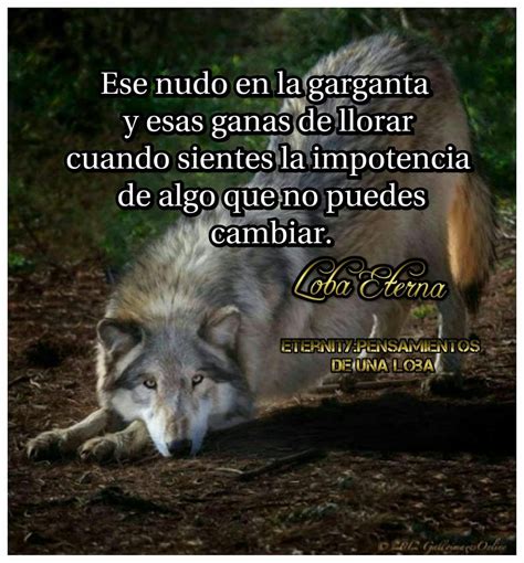 Lista Imagen Guerreras Imagenes De Lobos Con Mujeres Actualizar