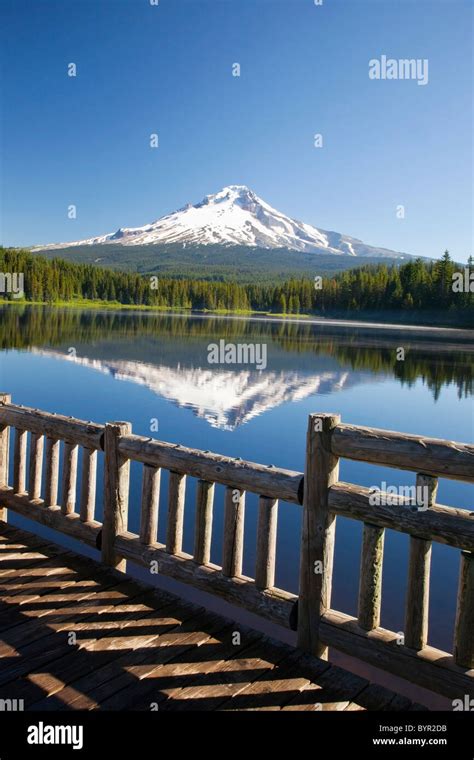 Reflection Of Mount Hood In Trillium Lake In The Oregon Cascades