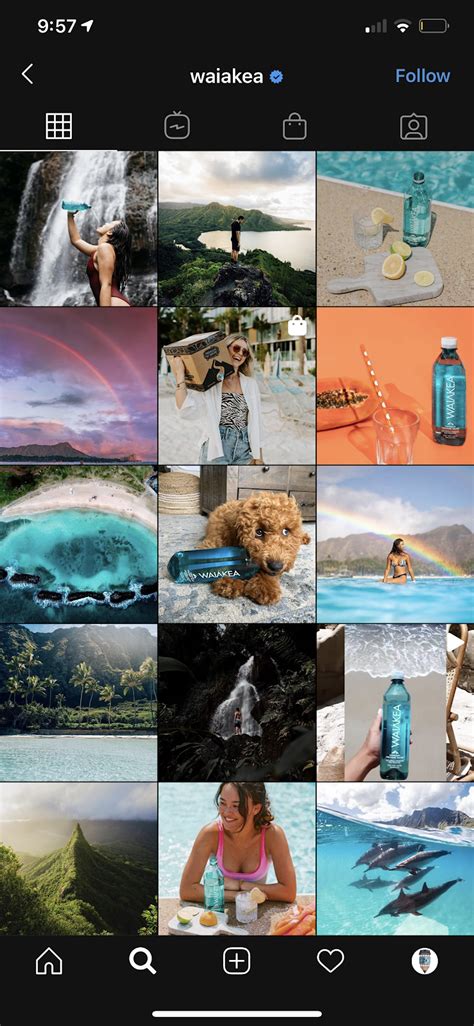 50 Popular Instagram Themes In 2021 And How To Get Them